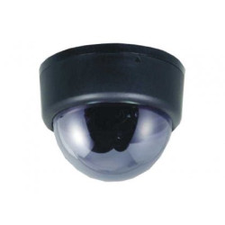 Kamera kolor WK-N341R DOME D/N| IR FILTR-Monitoring CCTV