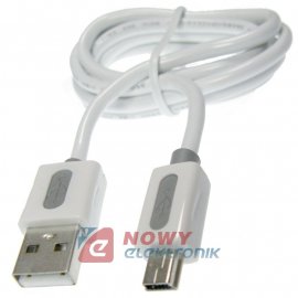 Kabel USB Wt.A-miniUSB B  1m ICIDU