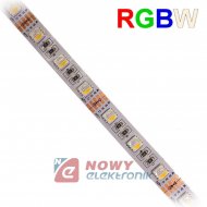 Taśma LED SMD5050 RGB+WW(1m)(300 RGBW biały ciepły wersja PREMIUM 12VDC