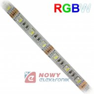 Taśma LED SMD5050 RGB+CW(1m)(300 RGBW biały zimny wersja PREMIUM 12VDC