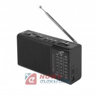 Radio FM LTC2030 REGA BL-5C LED z wbudowanym aku. USB/SD/AUX