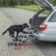 Schody schodki składane dla psa aluminiowe