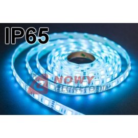 Taśma LED SMD5050 niebieska IP65 (300LED/5m) w silikonie 12V