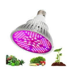 Żarówka LED E27 100W Do uprawy i wzrostu roślin-Oświetlenie