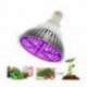 Żarówka LED E27 80W Do uprawy i wzrostu roślin