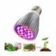 Żarówka LED E27 30W Do uprawy i wzrostu roślin