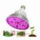 Żarówka LED E27 100W Do uprawy i wzrostu roślin, zestaw z uchwytem