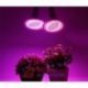 Lampa do wzrostu roślin LED 20W Z uchwytem, 230V, do uprawy roślin