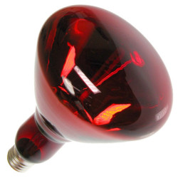 Żarówka E27 175W/230V czerwona promiennik podczerwieni/lampa grzewcza-Oświetlenie