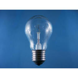 Żarówka E27 25W/230V wstrząso- odporna-Oświetlenie