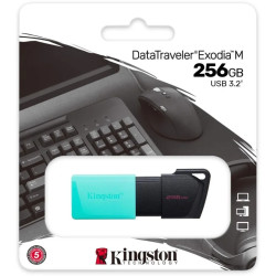 Pamięć PENDRIVE 256GB KINGSTON USB 3.2Gen1 DataTraveler Exodia M
