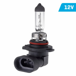 Żarówka H10 VISION 12V 45W PY20d, Halogen, 1 Sztuka